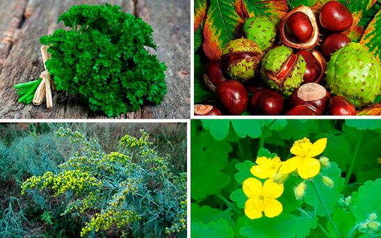 herbes pour le traitement de la prostatite