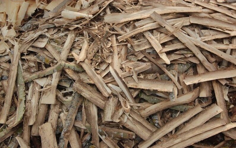 écorce de tremble pour la prostatite